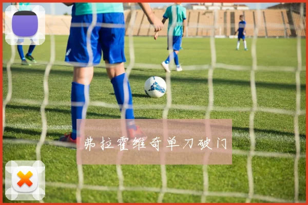 弗拉霍维奇单刀破门 - 开云官网