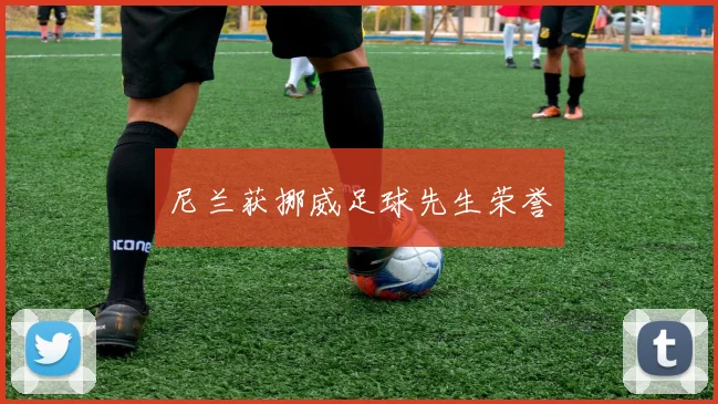 尼兰获挪威足球先生荣誉 - 开云官网