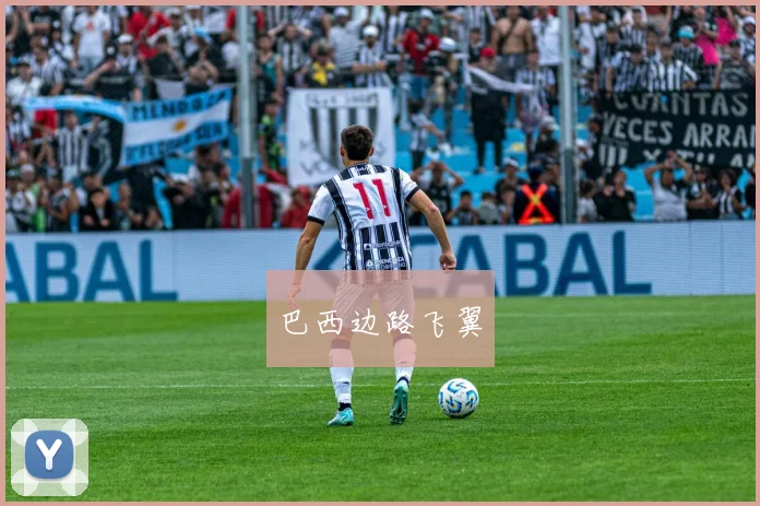 巴西边路飞翼 - 开云官网