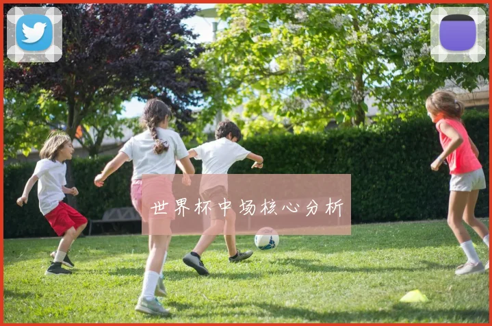 世界杯中场核心分析 - 开云官网